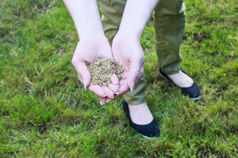 Healthy Lawn in Fall