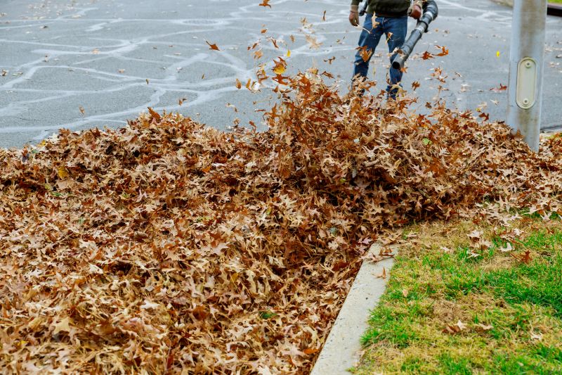 Leaf Blowing in Action