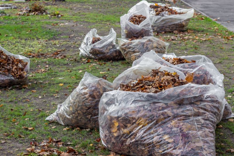 Leaves Being Bagged